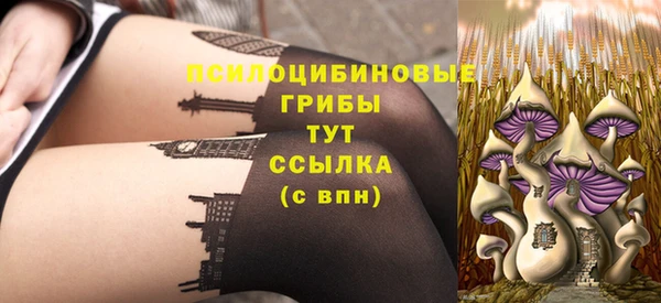 a pvp Инсар