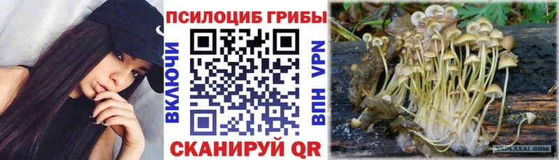 omg ONION  цена наркотик  Кулебаки  Галлюциногенные грибы Magic Shrooms 