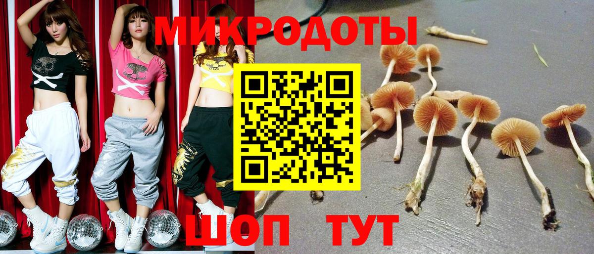 Псилоцибиновые грибы мухоморы Кулебаки