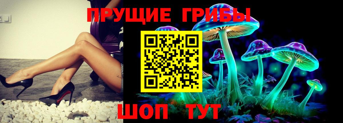 Псилоцибиновые грибы прущие грибы  Вход с VPN  Псилоцибиновые грибы GOLDEN TEACHER  Кулебаки 